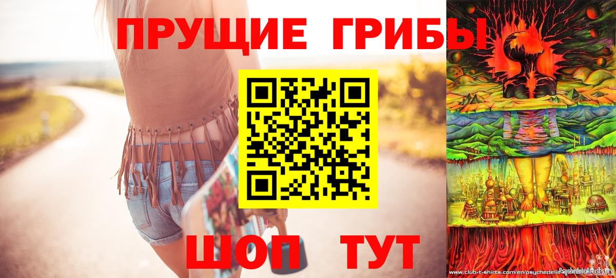 хочу   Псилоцибиновые грибы Magic Shrooms  Вход с VPN  Костомукша 